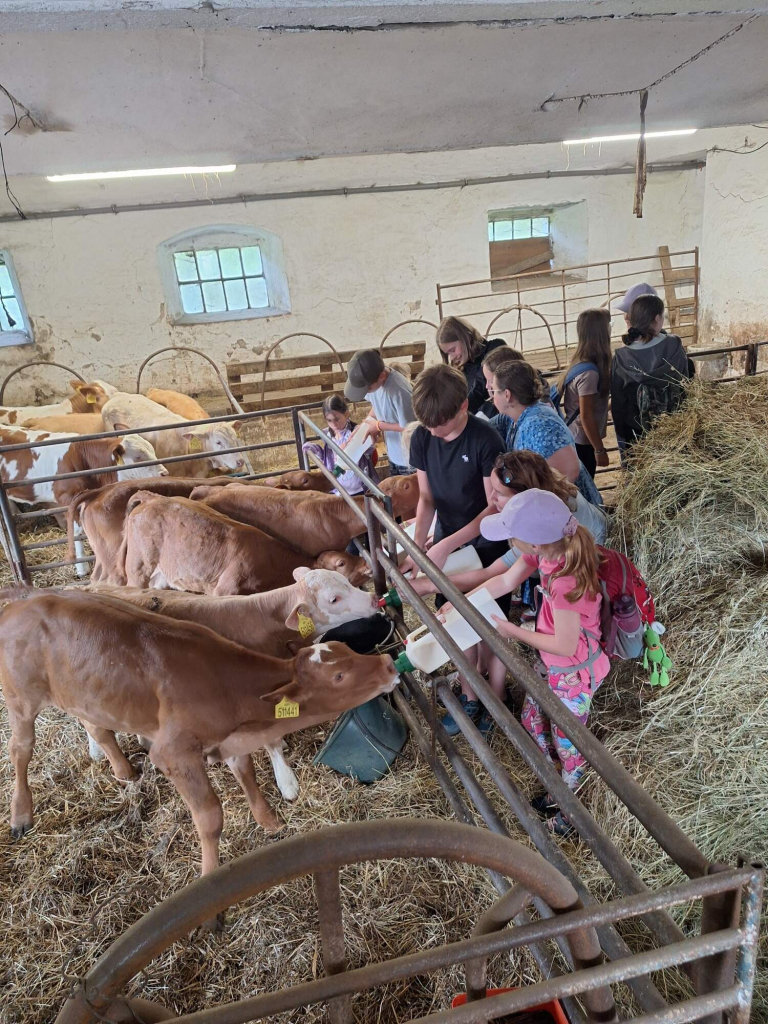 PRÁZDNINY V MINIZOO I