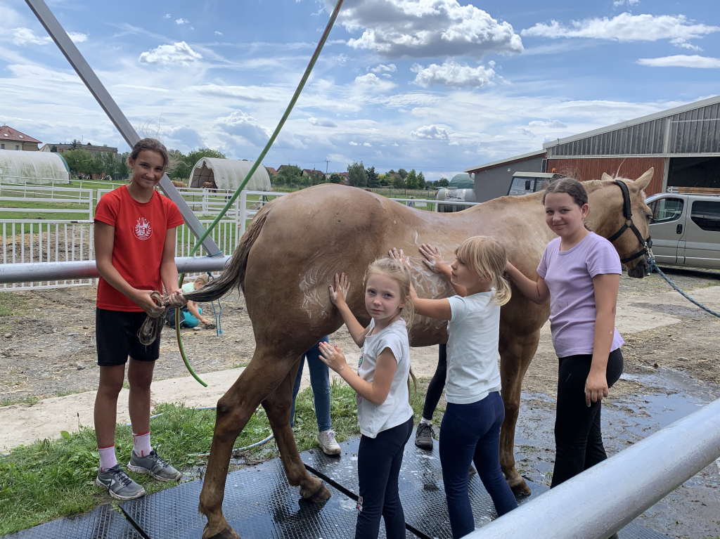 U KONÍ - II. turnus