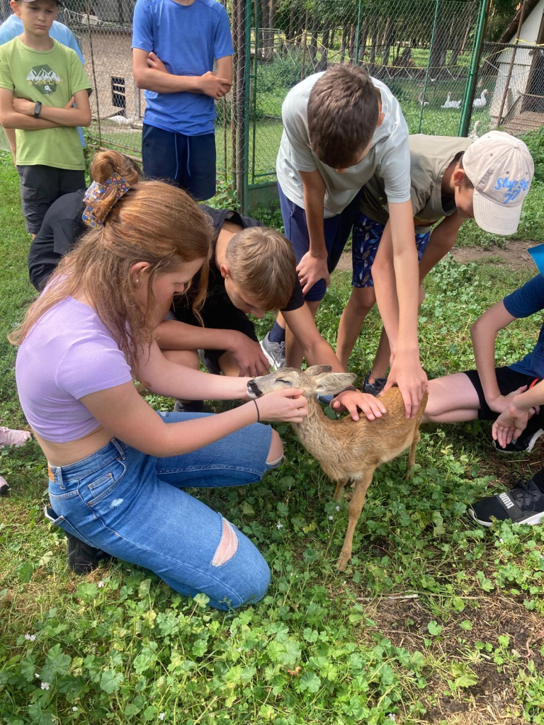 WhatsApp Image 2026-01-15 at 13.44.54.jpeg