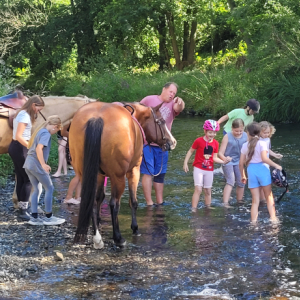 U KONÍ - III. turnus